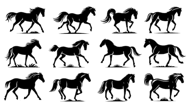 conjunto de caballos de fondo blanco y negro vector silueta