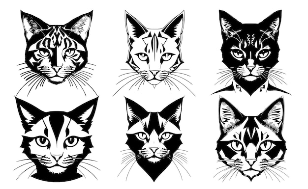 Conjunto de cabezas de gato con diferentes expresiones tranquilas del bozal Símbolos para emblema de tatuaje o logotipo aislado en un fondo blanco