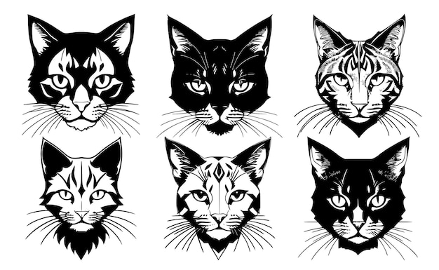 Conjunto de cabezas de gato con diferentes expresiones tranquilas del hocico Símbolos para emblema o logotipo de tatuaje aislados en un fondo blanco