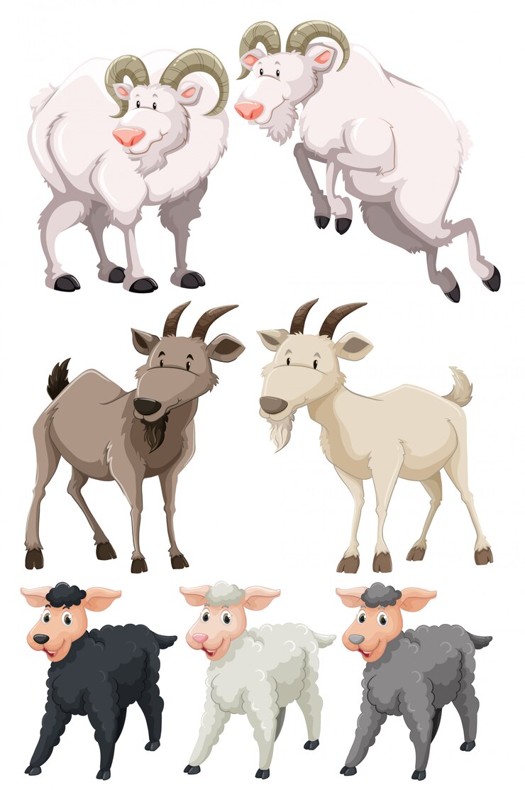 Vector conjunto de cabras y ovejas