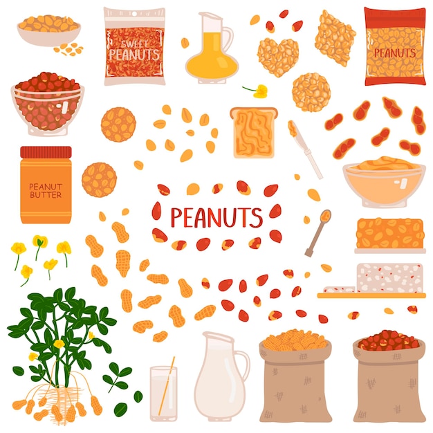 Conjunto de cacahuetes sobre un fondo blanco Ilustración vectorial en estilo de dibujo a mano alzada