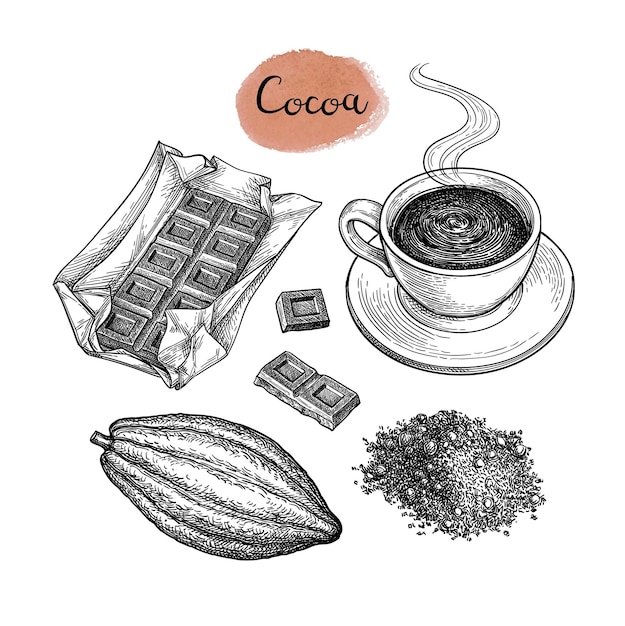 Conjunto de cacao y chocolate