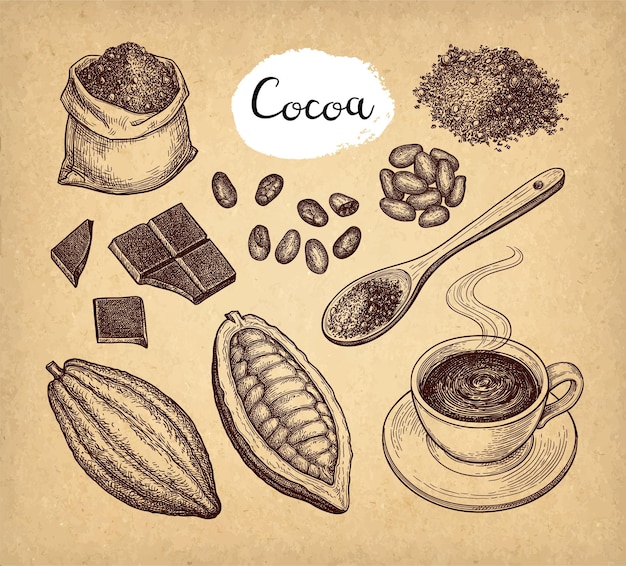 Conjunto de cacao y chocolate