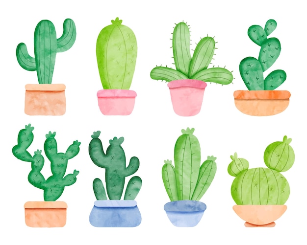 Conjunto de cactus de acuarela de varias formas en macetas