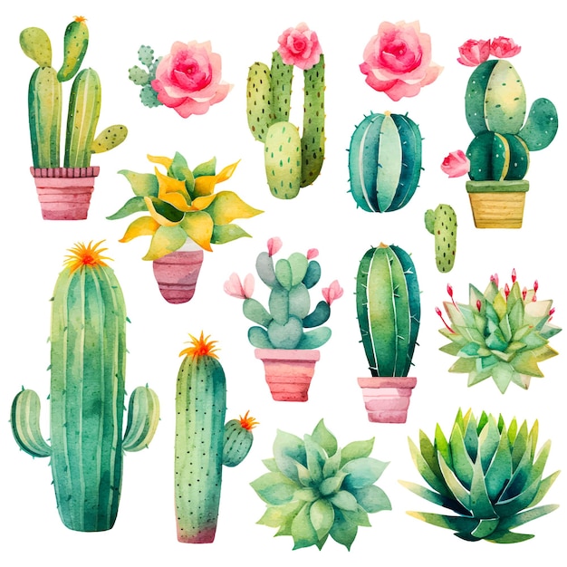 Vector conjunto de cactus acuarela