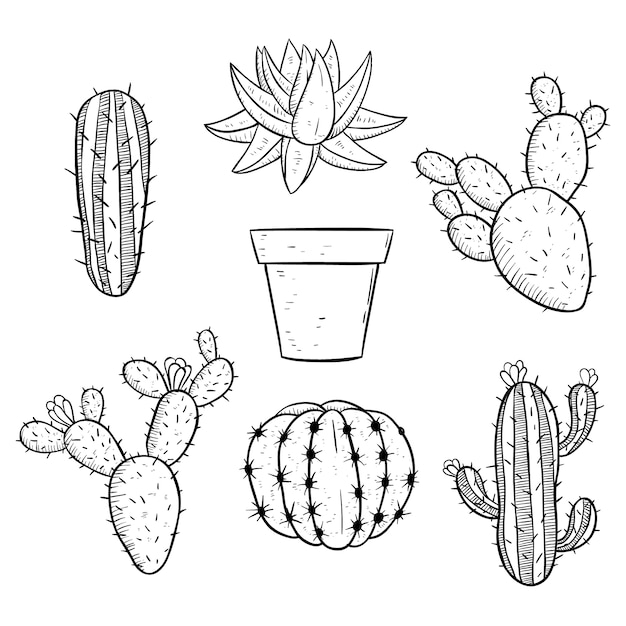 Vector conjunto de cactus blanco y negro con estilo incompleto