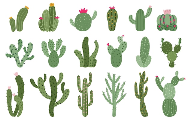 Conjunto de cactus en diseño plano.