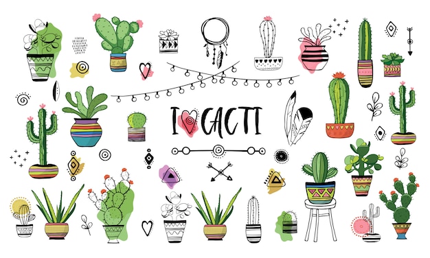 Conjunto de cactus. ilustración