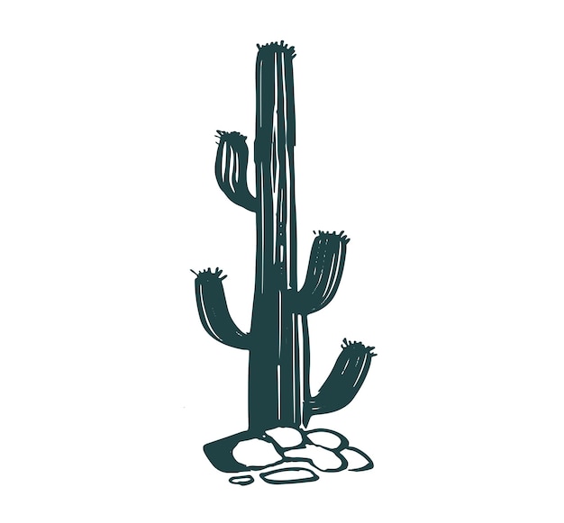 Conjunto de cactus ilustraciones dibujadas a mano, vector