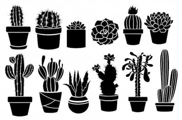 Conjunto de cactus de interior en macetas. Colección de alféizares de plantas espinosas estilizadas. Macetas decorativas.