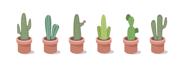 un conjunto de cactus en maceta con un fondo blanco
