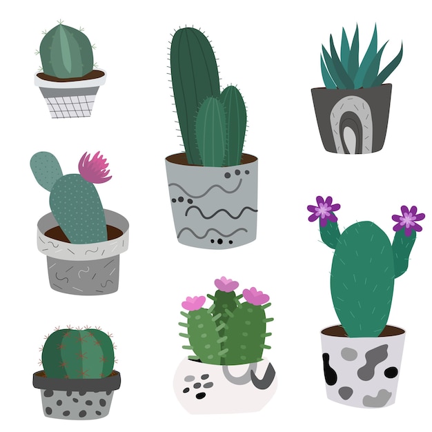Conjunto de cactus en macetas de blanco y negro con flores. Diseño plano
