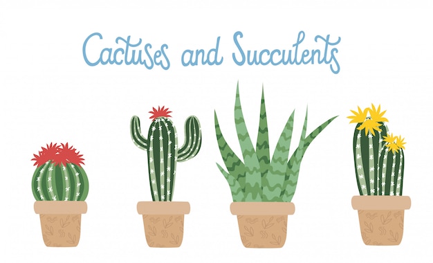 Conjunto de cactus con macetas. Colección con letras manuscritas aisladas