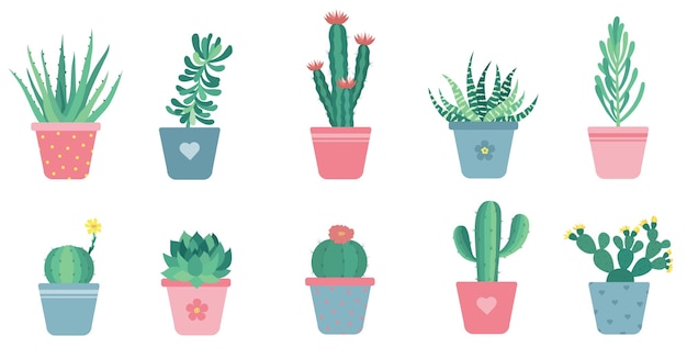 Conjunto de cactus en macetas Ilustración de suculentas vectoriales aislado sobre fondo blanco Plantas de dibujos animados lindo