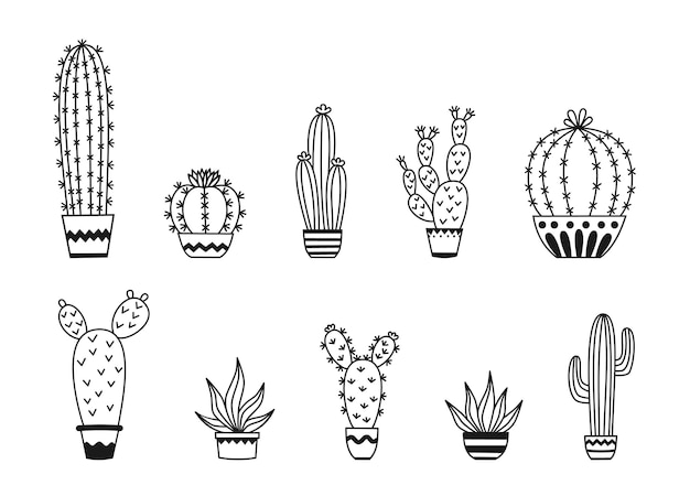 Conjunto de cactus en macetas y plantas suculentas Dibujos de ilustración de contorno vectorial sobre un fondo blanco