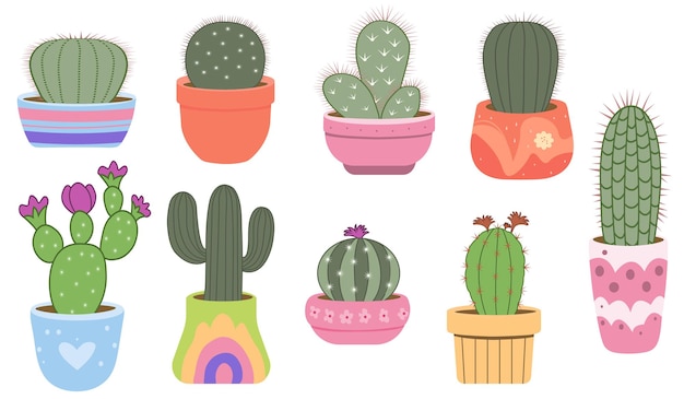 Un conjunto de cactus en ollas Plantas espinosas del desierto Cactus mexicanos y plantas de interior tropicales o cactus