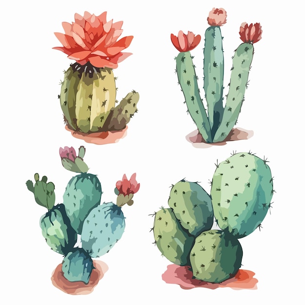 Conjunto de cactus Paquete de pintura de acuarela de cactus