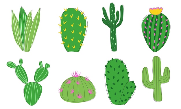 Conjunto de cactus vector ilustración estilo plano cactus y suculentas sobre fondo blanco