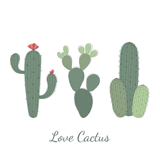 Conjunto de cactus.