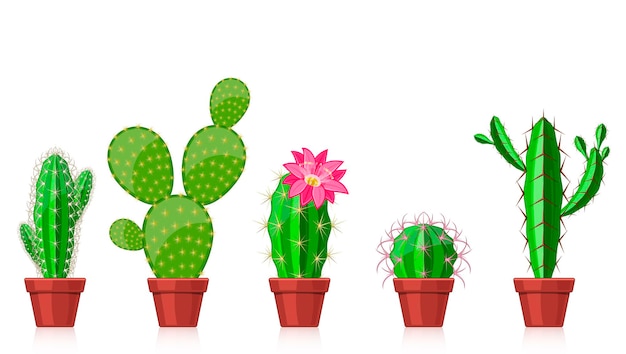 conjunto de cactus