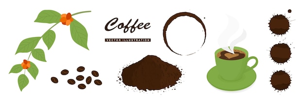 Conjunto de cafés granos de café anillos de taza manchas gotas y salpicaduras Ilustración vectorial plana de colores