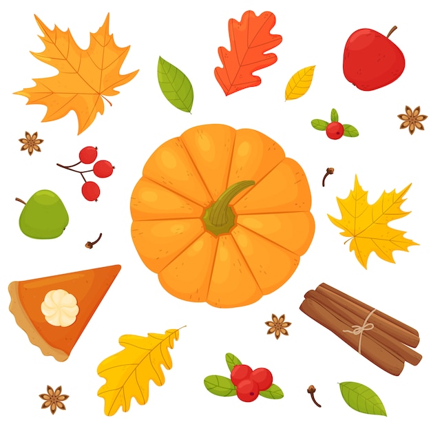 conjunto calabaza calabaza pastel de calabaza canela arándano clavo de olor anís estrellado y hojas de otoño