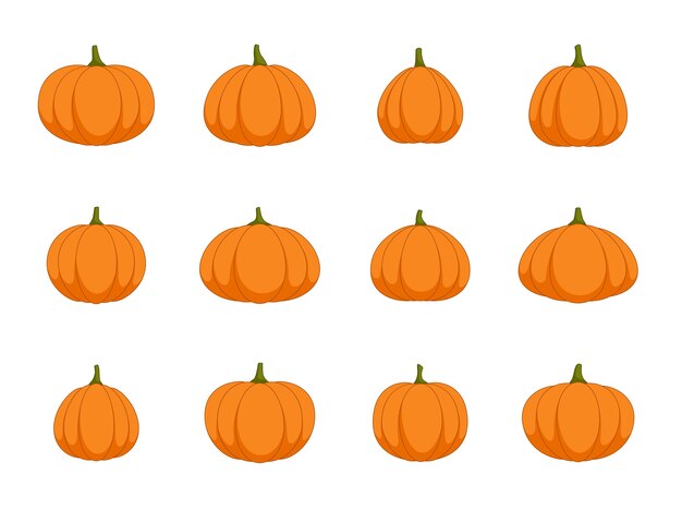 Conjunto de calabaza de halloween sobre fondo blanco.