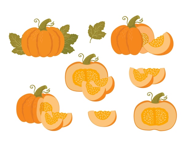 Conjunto de calabaza rebanada entera y mitades
