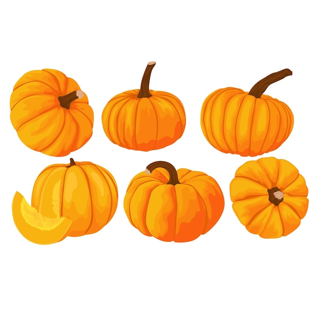 conjunto, de, calabaza, vector