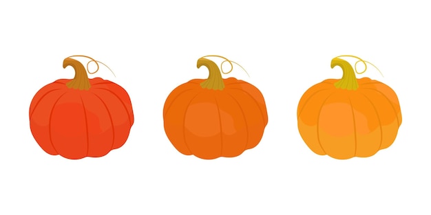 Conjunto de calabaza vectorial aislado en blanco Verduras de otoño