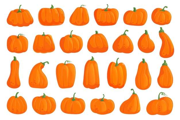 Conjunto de calabaza