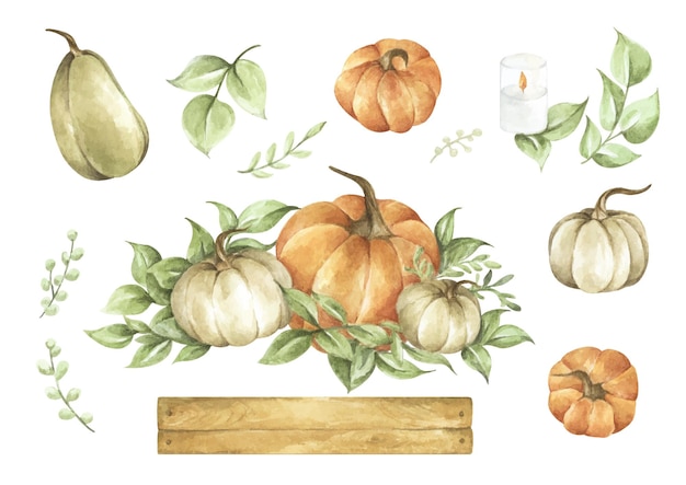 Conjunto de calabazas de acuarela. diseño floral de decoración de otoño. ilustración botánica. tarjeta de acción de gracias.