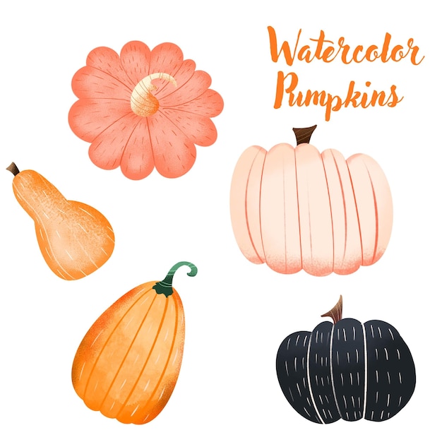 Vector conjunto de calabazas acuarela