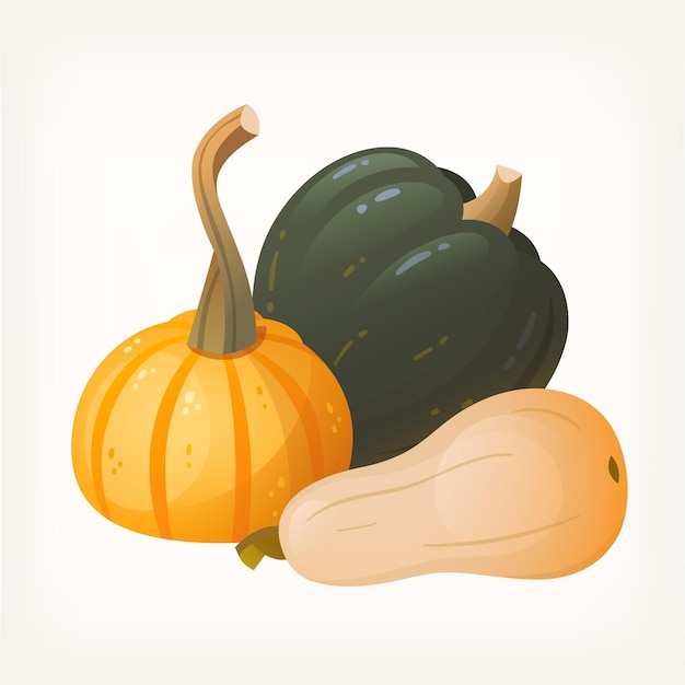 Conjunto de calabazas calabazas y calabazas iconos dispuestos en grupos. Ilustraciones de verduras para el otoño