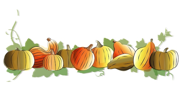 Vector conjunto de calabazas composición de otoño de acuarela con calabazas festival de la cosecha