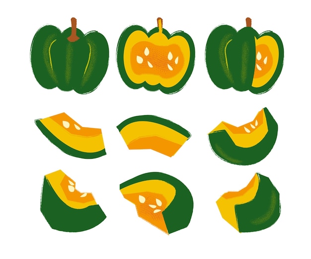 Conjunto de calabazas dibujadas a mano Colección de otoño Diferentes tipos de calabazas mitades y enteros pastel de calabaza