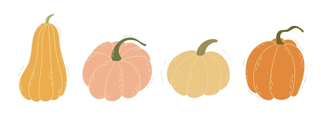 Conjunto de calabazas dibujado a mano Decoración de Acción de Gracias y Halloween de otoño