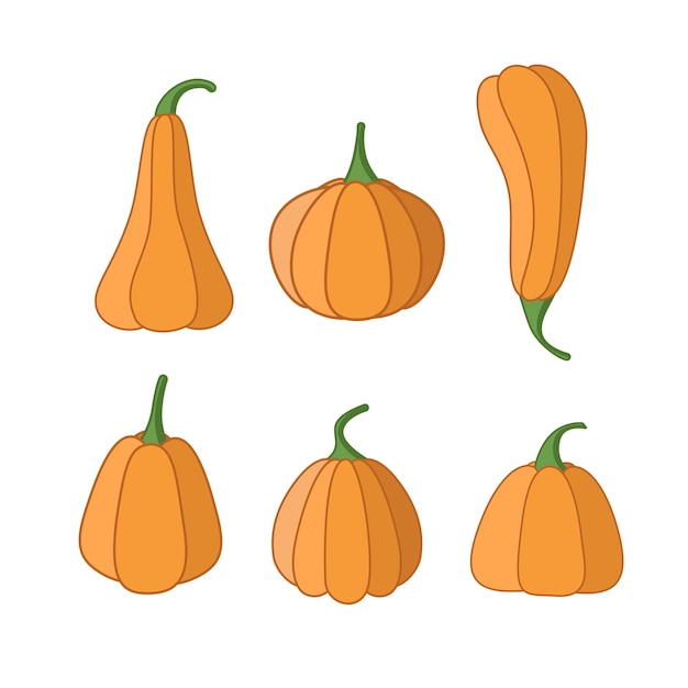 Un conjunto de calabazas de dibujos animados. Calabazas de diferentes formas, ilustración vectorial de la cosecha de hortalizas de otoño.