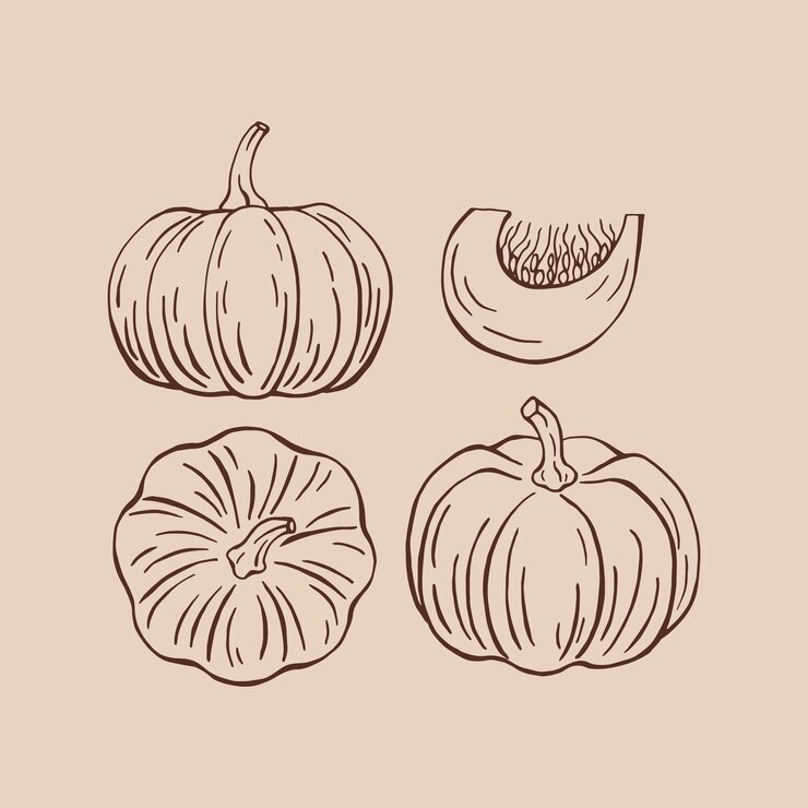 Conjunto de calabazas Ilustración vectorial dibujada a mano
