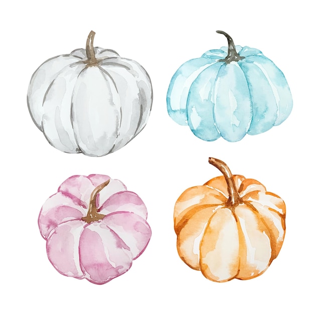 Conjunto de calabazas de otoño de acuarela pastel