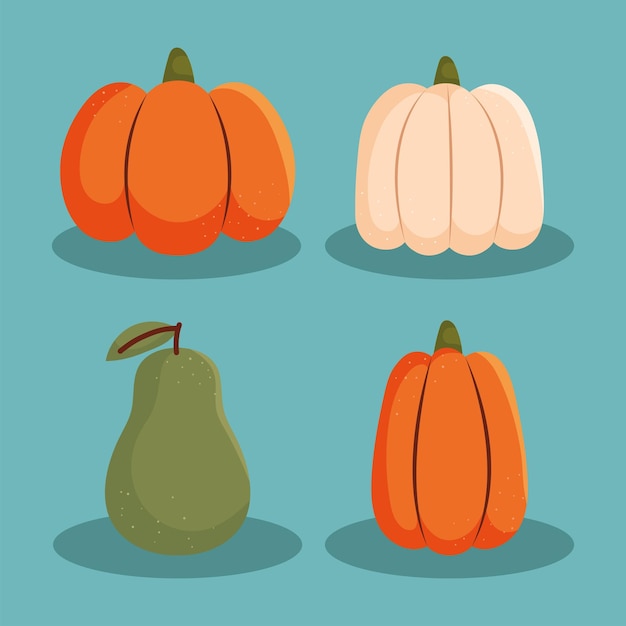 Conjunto de calabazas de otoño