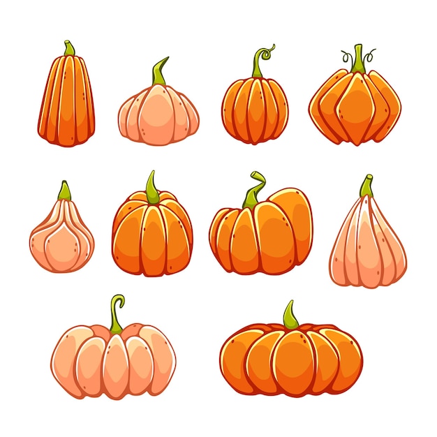 Conjunto de calabazas vectoriales en estilo de dibujos animados lindo