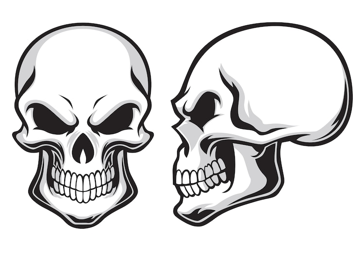 Vector conjunto de calaveras de dibujos animados