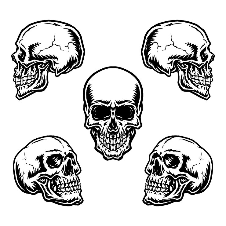 Vector conjunto de calaveras en diferentes posiciones.