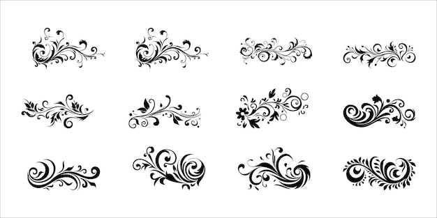 Conjunto caligráfico floral con escritura adornada, decorativo y con letras elegantes