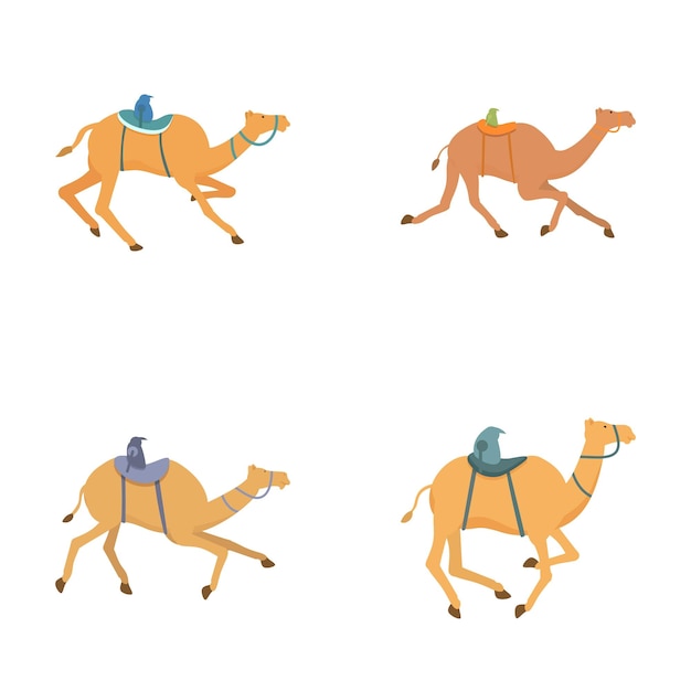 Conjunto de camellos de dibujos animados en varias poses
