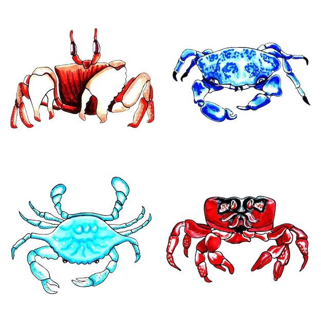 Vector conjunto de cangrejos de color marrón, azul, rojo y aguamarina aislados en un fondo transparente.