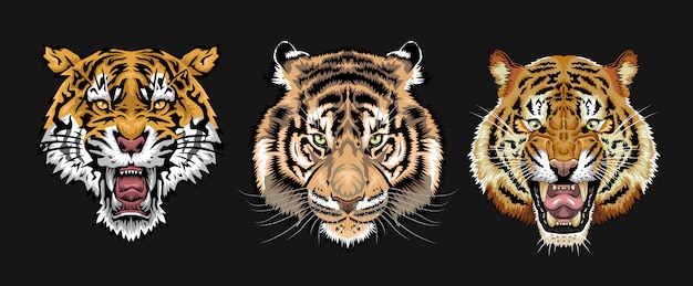 Conjunto de cara de tigre