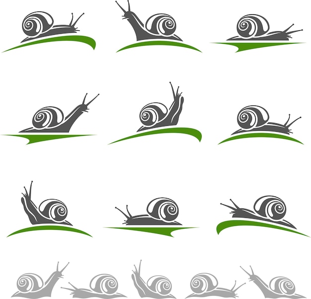 Conjunto de caracol Vector