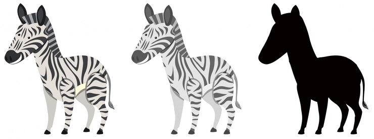 Vector conjunto de caracteres de cebra